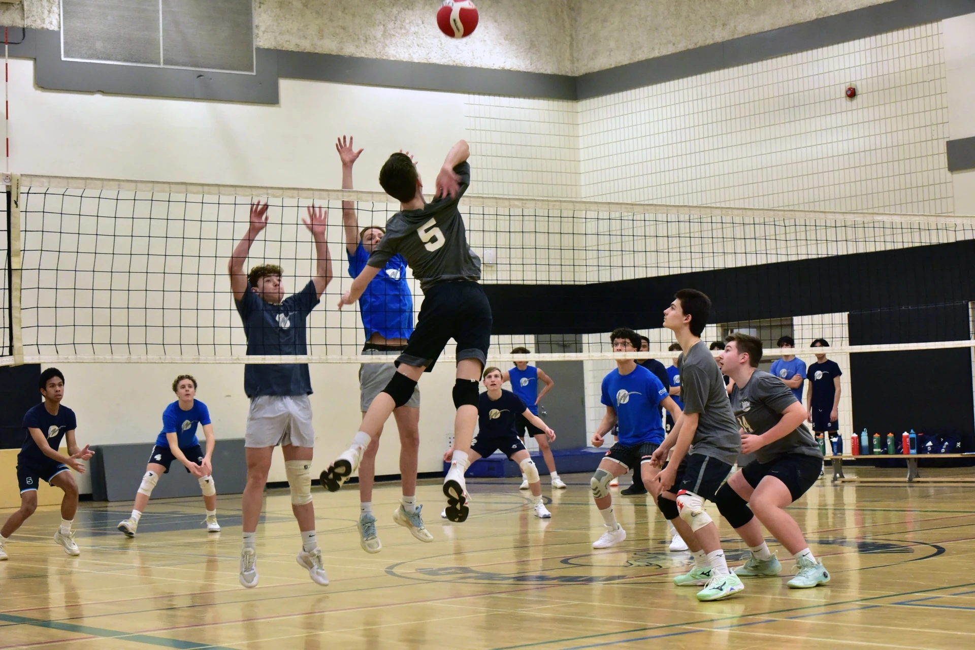 Volleyball team during a competitive training session